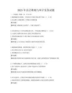 2025年会计准则与审计实务试题