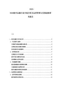 2025-2030航空運(yùn)輸行業(yè)市場分析及運(yùn)營管理與發(fā)展戰(zhàn)略研究報(bào)告