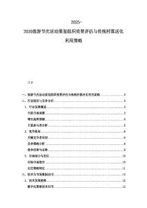 2025-2030旅游節(jié)慶活動策劃組織效果評估與傳統(tǒng)村落活化利用策略