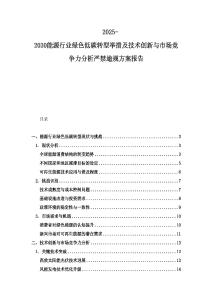 2025-2030能源行业绿色低碳转型举措及技术创新与市场竞争力分析严禁逾规方案报告