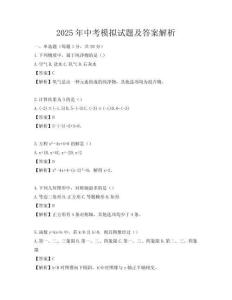 2025年中考模拟试题及答案解析