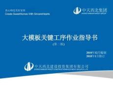 FJ大模板关键工序作业指导书（第二版）