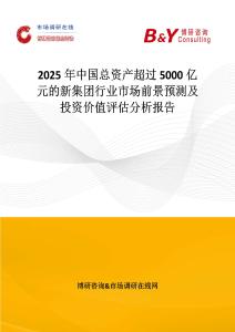 2025年中國總資產超過5000億元的新集團行業市場前景預測及投資價值評估分析報告