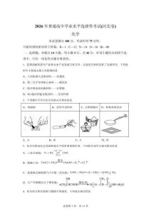2026年高考河北卷化學高考真題（網絡 收集版）【含解析】