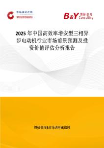 2025年中国高效率增安型三相异步电动机行业市场前景预测及投资价值评估分析报告