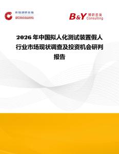 2026年中國擬人化測試裝置假人行業(yè)市場現(xiàn)狀調(diào)查及投資機(jī)會研判報告
