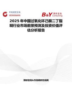 2025年中國過氧化環己酮二丁酯糊行業市場前景預測及投資價值評估分析報告