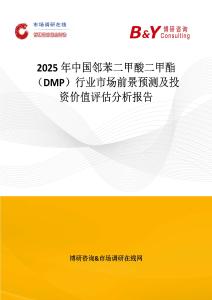 2025年中國鄰苯二甲酸二甲酯（DMP）行業市場前景預測及投資價值評估分析報告