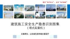 建筑施工安全生产隐患识别图集-塔式起重机