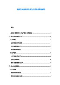 番茄汁感官评价体系与产品升级策略报告