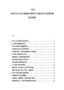 2025-2030汽车工业市场细致考察及产业链运作与品牌营销研究简称