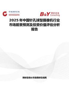 2025年中国针孔球型摄像机行业市场前景预测及投资价值评估分析报告