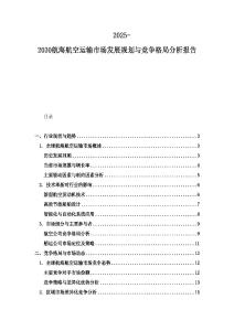 2025-2030航海航空运输市场发展规划与竞争格局分析报告