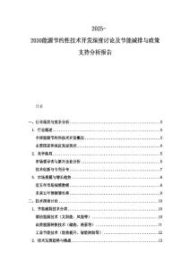 2025-2030能源节约性技术开发深度讨论及节能减排与政策支持分析报告