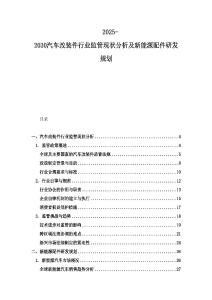 2025-2030汽车改装件行业监管现状分析及新能源配件研发规划
