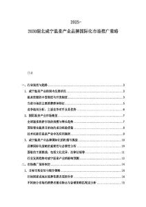 2025-2030湖北咸寧溫泉產業(yè)品牌國際化市場推廣策略