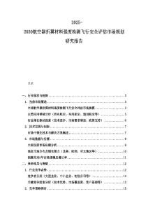 2025-2030航空器折翼材料强度检测飞行安全评估市场规划研究报告