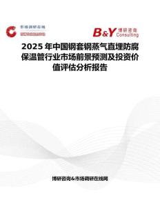 2025年中國鋼套鋼蒸氣直埋防腐保溫管行業(yè)市場(chǎng)前景預(yù)測(cè)及投資價(jià)值評(píng)估分析報(bào)告