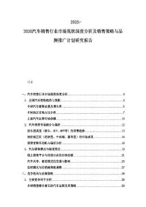 2025-2030汽車銷售行業(yè)市場現(xiàn)狀深度分析及銷售策略與品牌推廣計劃研究報告