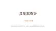 蘇少版（2024）小學美術二年級上冊《瓜果真奇妙》教學課件