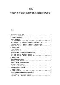 2025-2030汽车养护行业投资热点挖掘及企业融资策略分析