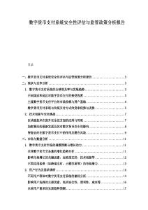 數字貨幣支付系統安全性評估與監管政策分析報告