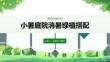 小暑庭院消暑绿植搭配
