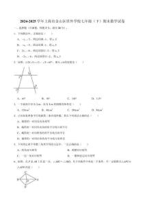 2024-2025学年上海市金山区世外学校七年级（下）期末数学试卷（含答案）