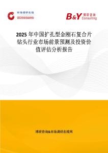 2025年中國擴(kuò)孔型金剛石復(fù)合片鉆頭行業(yè)市場前景預(yù)測及投資價(jià)值評估分析報(bào)告