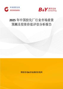 2025年中國膠化廠行業市場前景預測及投資價值評估分析報告