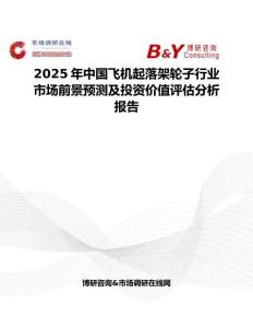 2025年中國飛機(jī)起落架輪子行業(yè)市場前景預(yù)測及投資價值評估分析報告