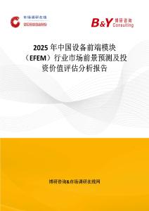 2025年中国设备前端模块（EFEM）行业市场前景预测及投资价值评估分析报告