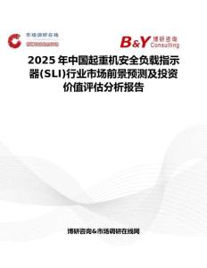 2025年中国起重机安全负载指示器(SLI)行业市场前景预测及投资价值评估分析报告