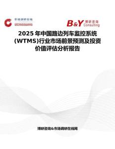2025年中国路边列车监控系统(WTMS)行业市场前景预测及投资价值评估分析报告
