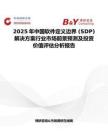 2025年中國軟件定義邊界 (SDP) 解決方案行業市場前景預測及投資價值評估分析報告