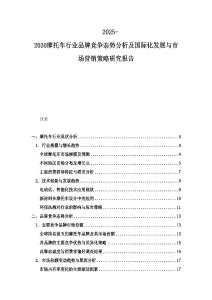 2025-2030摩托車行業品牌競爭態勢分析及國際化發展與市場營銷策略研究報告