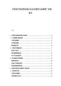 中國真空熱成型包裝行業會議展覽與品牌推廣效果報告
