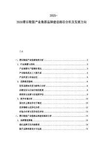 2025-2030莆田鞋服產業集群品牌建設路徑分析及發展方向