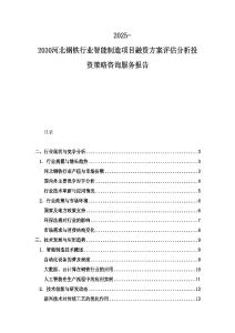 2025-2030河北鋼鐵行業智能制造項目融資方案評估分析投資策略咨詢服務報告