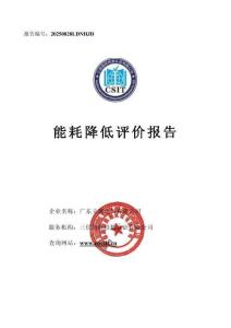 广东立德电气有限公司能耗降低评价报告