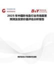 2025年中國砂光墊行業市場前景預測及投資價值評估分析報告