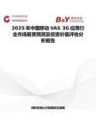 2025年中国移动VAS 3G应用行业市场前景预测及投资价值评估分析报告