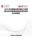 2025年中国纳米直列通孔力传感器行业市场前景预测及投资价值评估分析报告
