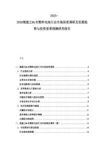 2025-2030氫能之Mu市燃料電池行業市場深度調研及發展趨勢與投資前景預測研究報告