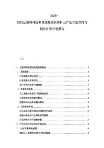 2025-2030互聯(lián)網(wǎng)科技領(lǐng)域發(fā)展現(xiàn)狀剖析及產(chǎn)業(yè)升級方向與創(chuàng)業(yè)擴(kuò)張計劃報告