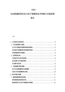 2025-2030軟磁材料在電力電子領域的技術突破與市場前景報告