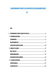 東南亞跨境電子商務行業(yè)市場供需分析及資金配置評估報告