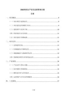 調峰燃機生產項目運營管理方案