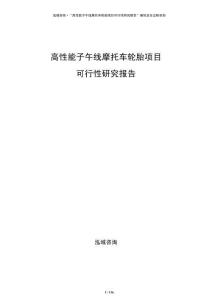高性能子午线摩托车轮胎项目可行性研究报告
