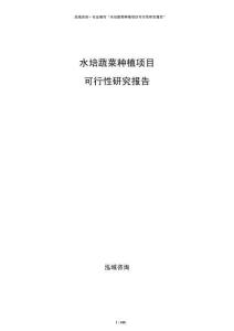 水培蔬菜种植项目可行性研究报告